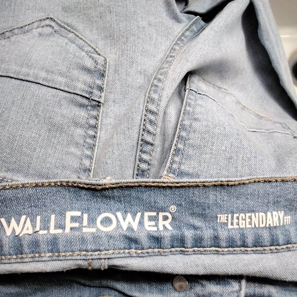 Wallflower Denim Shorts    Size 1